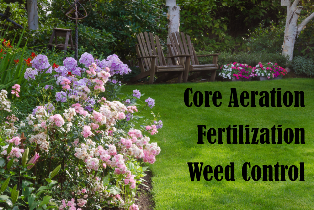 picture of a lawn - text = Aeration-Fertilization- Weed Control